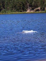 Beautiful women of a certain age show off their skills.