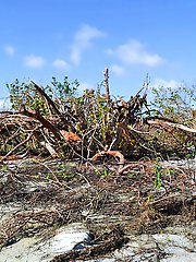 Real old babe is teasing her boyfriend